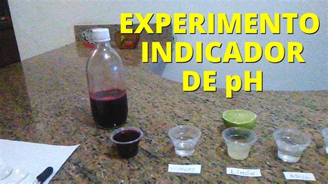 Experimento Con Indicador De Ph Betabel Agua Vinagre Y Lim N Youtube