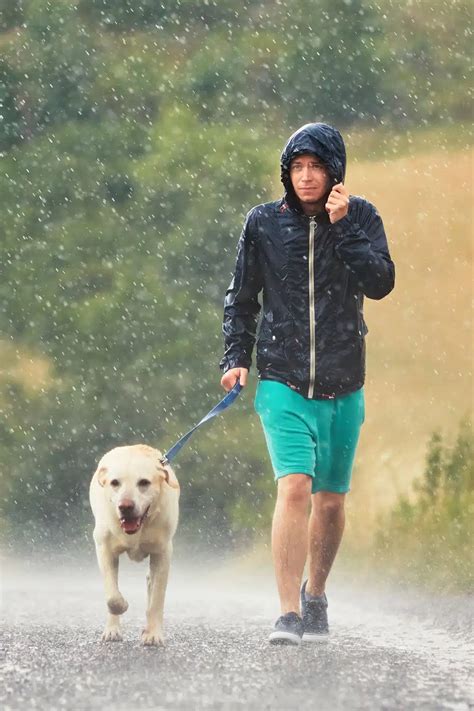 tips  walk   rain love life  fit