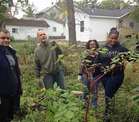 Joliet Job Corps Students Improve Local Garden