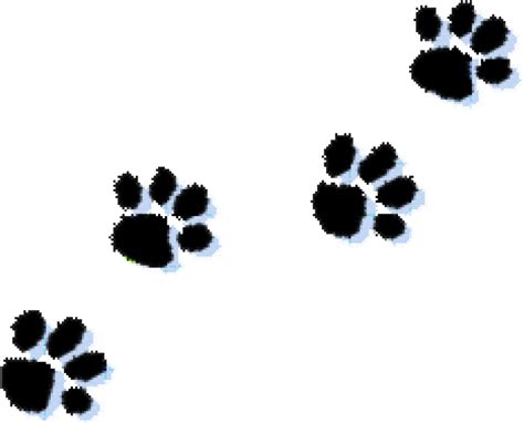 Paw Prints Clipart Cat Paw Print Clipart Kid Clipartix Transparent