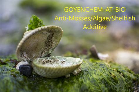 Anti Mosses Algae Shellfish