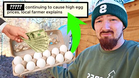 The Real Reason Why Egg Prices Are Rising And How We Fix It