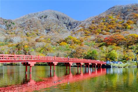 【関東紅葉スポット2020】秋色に染まる絶景を見に出かけよう！ Tabizine～人生に旅心を～