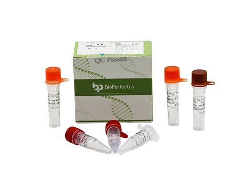 BioPerfectus Respiratory Virus Panel 7 Real Time PCR Kit