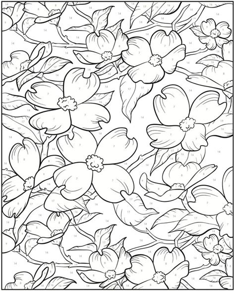 Welcome To Dover Publications Creative Haven Floral Design Color By