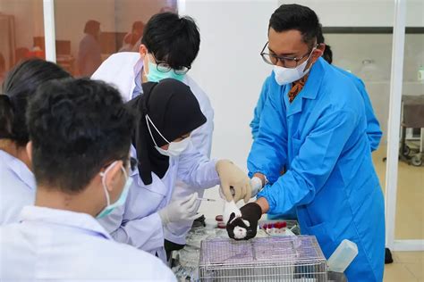 Fakultas Kedokteran Uns Laboratorium Hewan Coba Fk Uns Adakan