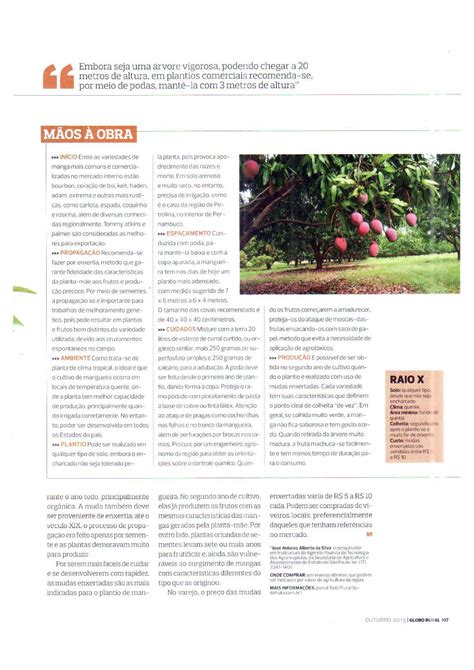 Como Plantar Revista Globo Rural PDF