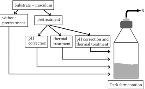 Schematic Diagram Of The Experiments Download Scientific Diagram