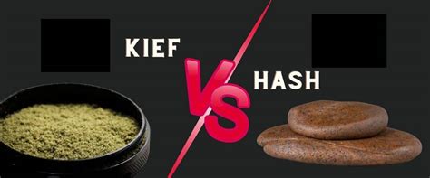 Kief Vs Hash Differences Uses And Benefits Explained