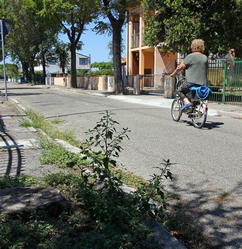 Incuria A Lido Volano I Residenti Lampioni Fuori Uso Costretti A