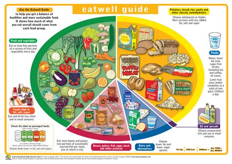 Comic Company - NEW EATWELL GUIDE