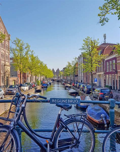 Day Trip To Haarlem From Amsterdam Top Things To Do Andoreia