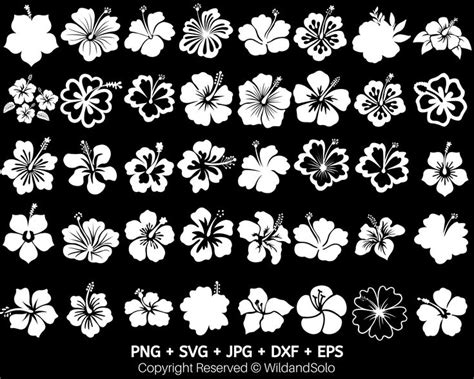 40 Hawaii Hibiscus Flower Svg Bundle Hawaiian Flower Svg Flowers