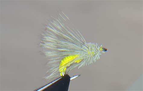 Yellow Deer Hair Caddis Radbuza Fishing