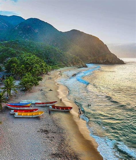 several canoes are lined up on the beach next to the ocean with ...