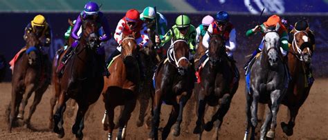 Horse Racing Picks at Delaware Park on Monday | Racing Picks