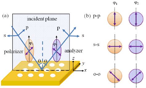 A The Schematic For Angle And Polarization Resolved Reflectivity