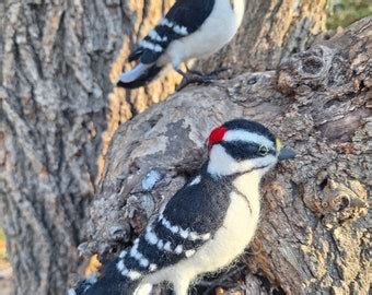 Needle Felted Bird Realistic Birds Felted Bird Decorations Christmas