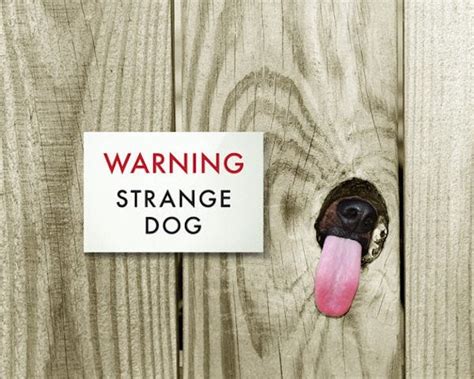 19 Funny Dog Signs That Will Make Every Dog Lover Smile