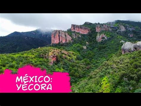 Yécora Bosque en el Desierto Viaje en Sonora parte 3 YouTube