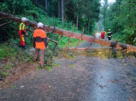 Maltempo Campania Smottamenti E Strade Invase Dal Fango Allagamenti A