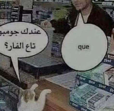 [Arabic (?) > English] This meme right here : r/translator