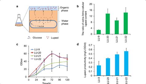 Effect Of Lipid Modifications On The Efflux Of Lupeol During Two Phase