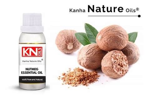 NUTMEG ESSENTIAL OIL - Buy 100% Pure natural essential oil from India