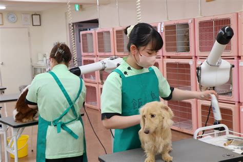 新年最初の授業がスタートしました！ Yic京都ペット総合専門学校