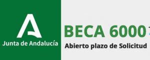 Consulta Los Requisitos Para Solicitar La Beca 6000