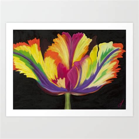 Parrot Tulip Art Print By Dana Strotheide Society