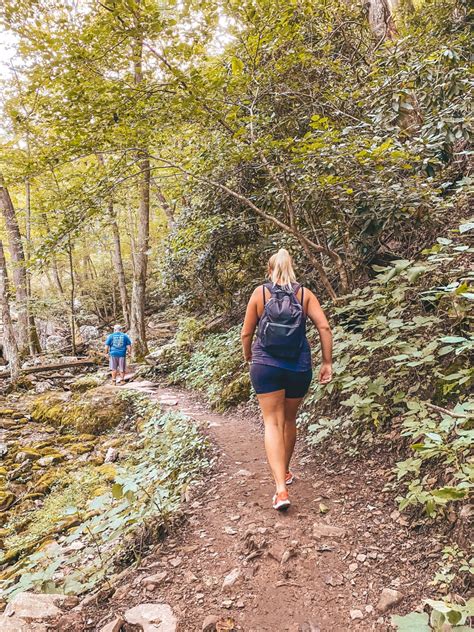 Hiking the Cascade Falls Trail in Virginia: What You Need to Know