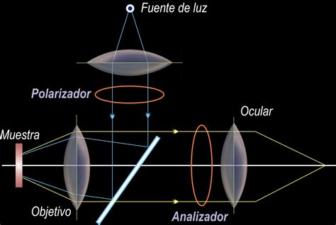 O Que Luz Polarizada Librain