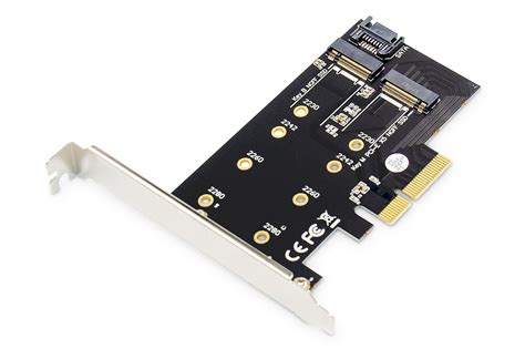 Tienda Digitus B B Tarjeta Add On M Ngff Nvme Ssd Pci Express