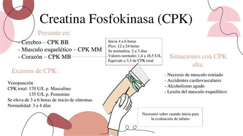 Resúmenes de Creatina Fosfocinasa Descarga apuntes de Creatina