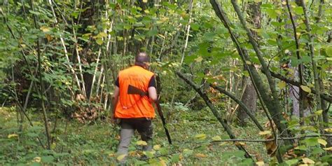 Interdiction De La Chasse Le Dimanche Ce Quen Pense Le Président Des