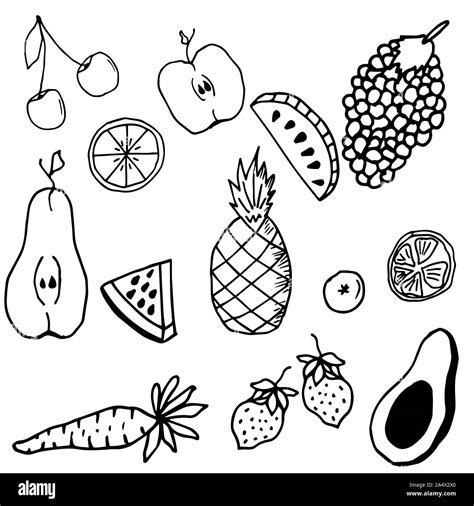 Vector outline pomegranate fruit food Black and White Stock Photos ...