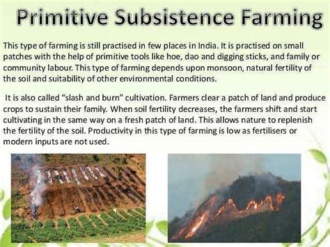 Write the feature of primitive subsistence farming ? | EduRev Class 10 ...