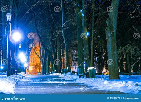 Park at night in winter stock image. Image of frozen - 49008879