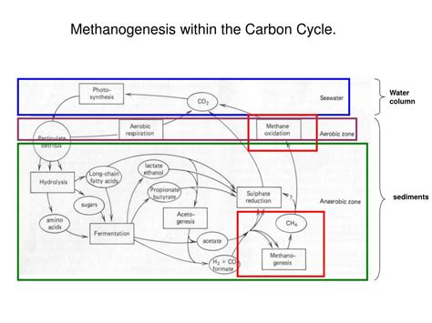 PPT - The Global Methane Cycle PowerPoint Presentation, free download ...