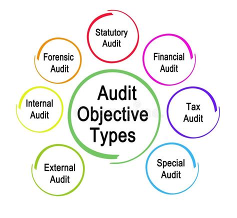 Types Of Audit Objective Stock Illustration Illustration Of Seven