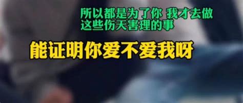 丧尽天良！姐弟坠亡案凶手1 7万条聊天记录被恢复 姐弟坠亡案两被告聊天记录曝光 张波 叶诚