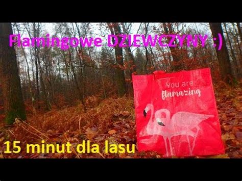 Flamingowe Dziewczyny W Lesie Youtube