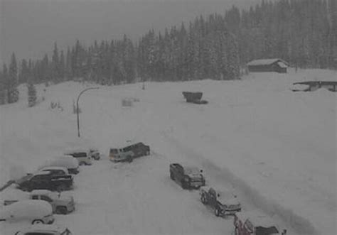 Up To Cm Of Snowfall Expected On Highway In Kootenays Bc News