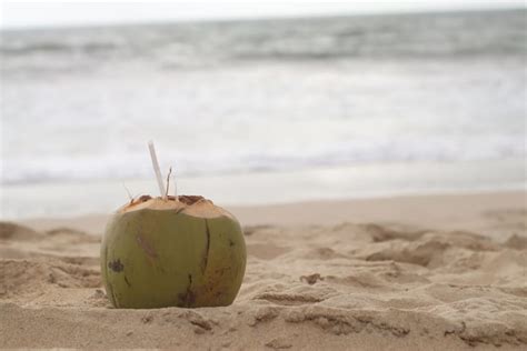 Coconut Water In Photo गरोदरपणात महिलांनी नारळ पाणी प्यावे का जाणून