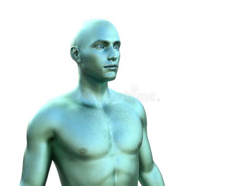 Three Dimensional Model Chameleon Green Male Torso Stock Illustration