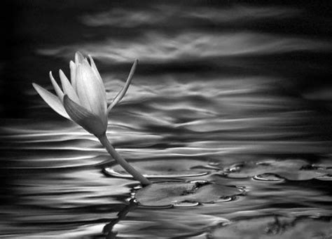 Showcase of Water Photography in Black and White - Hongkiat