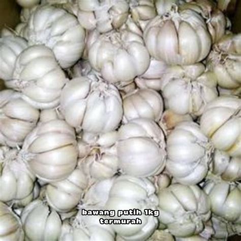 Bawang Putih Kating Kg Bawang Putih Kating Bawang Putih Kg Bawang