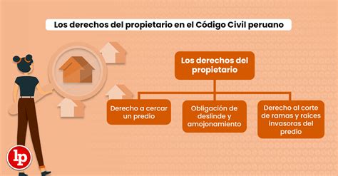 ¿cuáles Son Los Derechos Del Propietario Según El Código Civil Lp