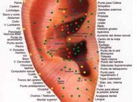 Cartografia Auricular